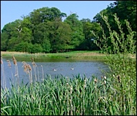 The lake at Blickling